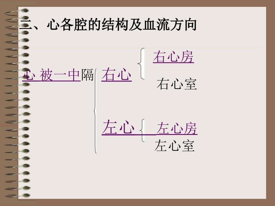 心脏结构及功能_第5页