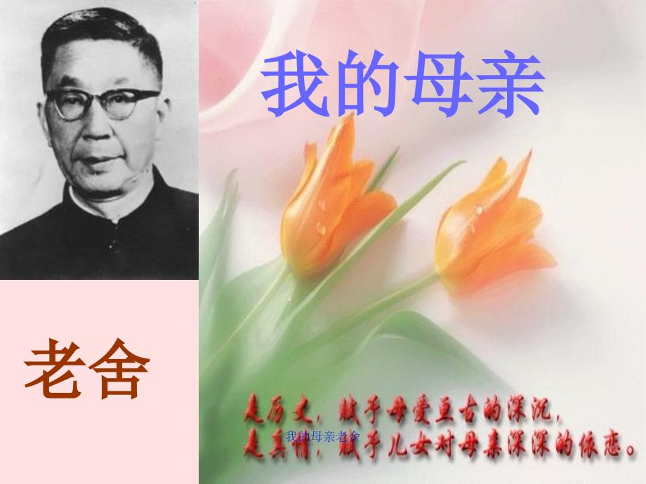 我的母亲老舍课件_第1页