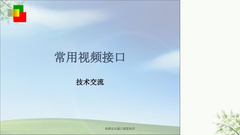 视频会议接口类型知识课件_第1页