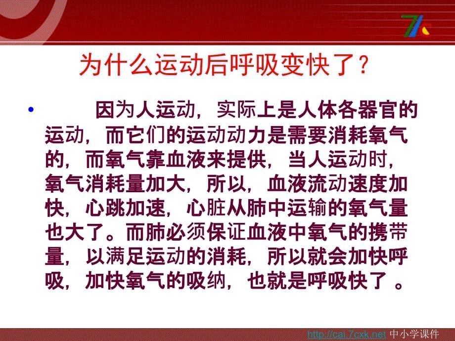 大象版科学四下2.1我们在呼吸课件1_第5页