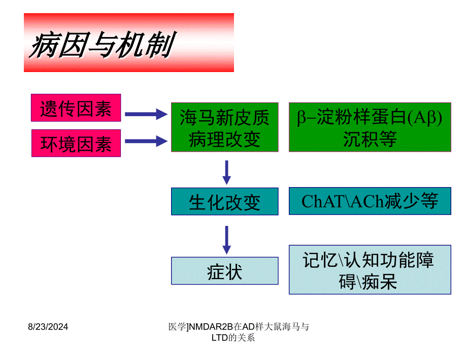 医学NMDAR2B在AD样大鼠海马与LTD的关系课件_第3页