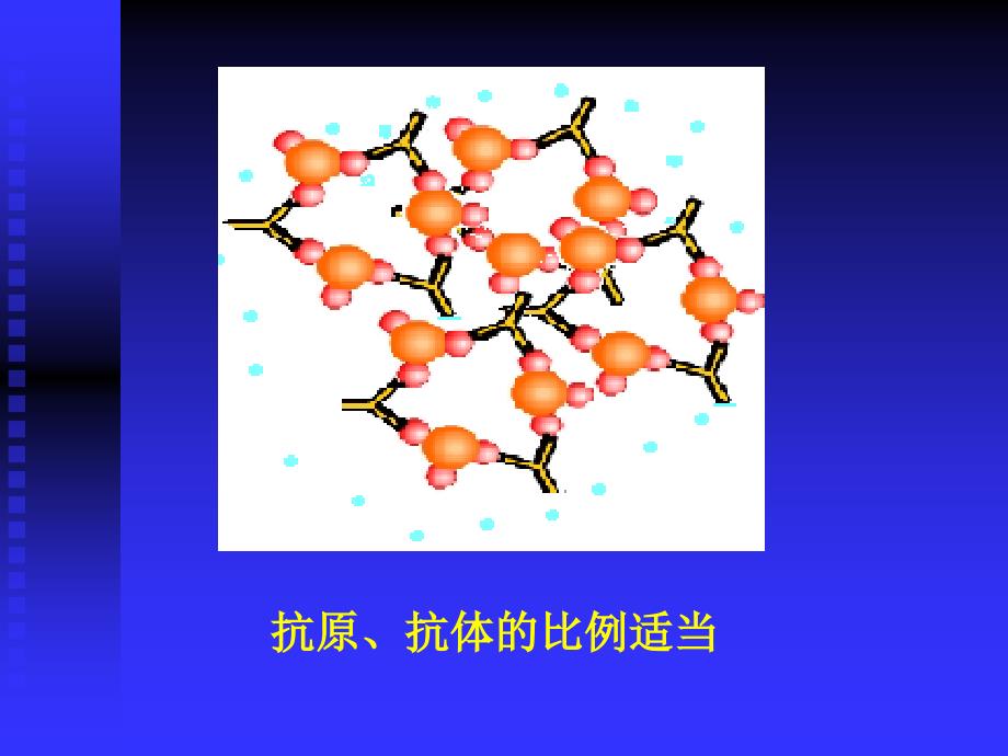 实验一凝集试验课件_第3页