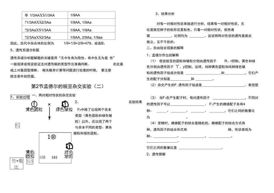 11遗传因子的发现知识点总结_第5页