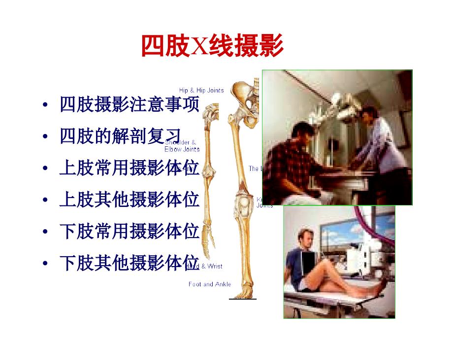 医学影像检查技术之摄影位置学课件.ppt_第2页