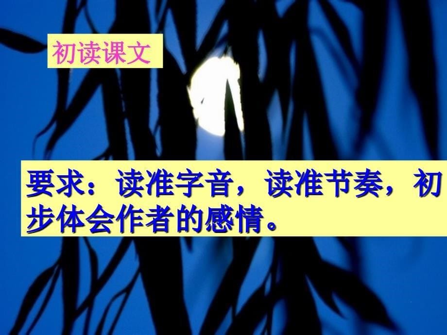 《记承天寺夜游》课件2_第5页