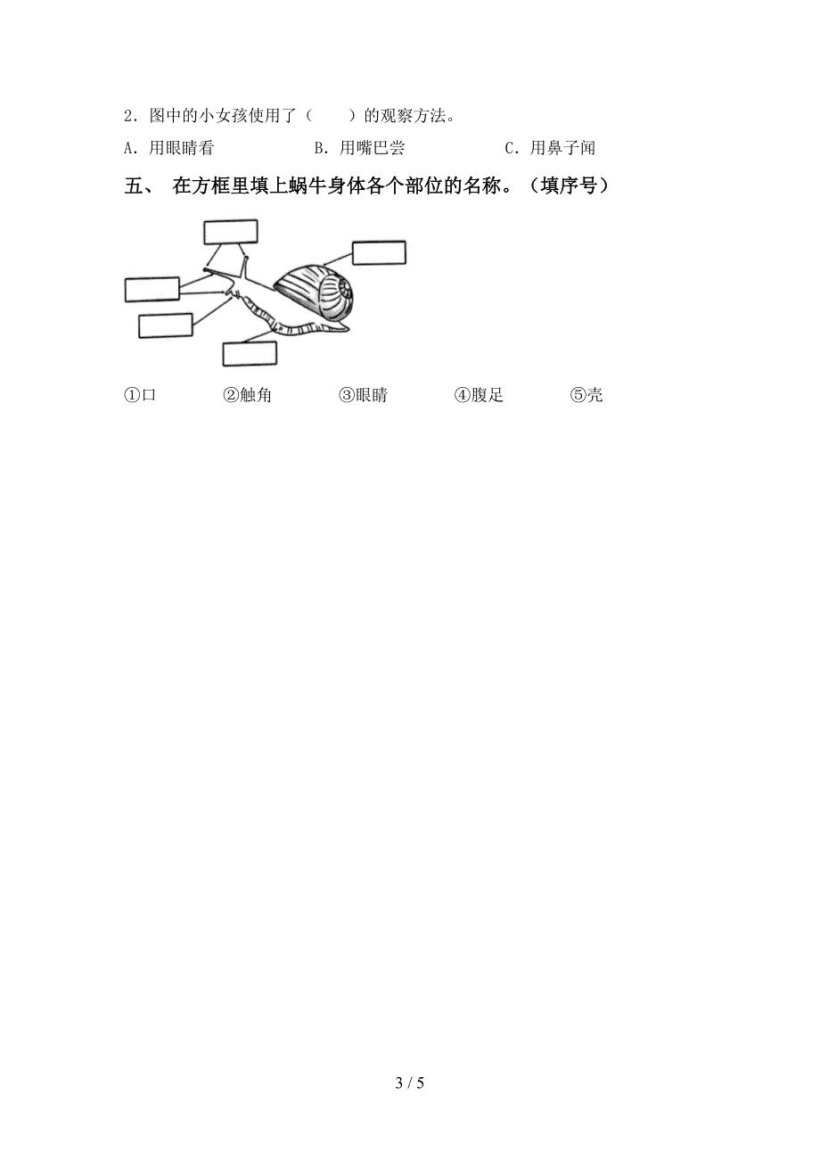 新教科版一年级科学下册期中测试卷(通用).doc_第3页