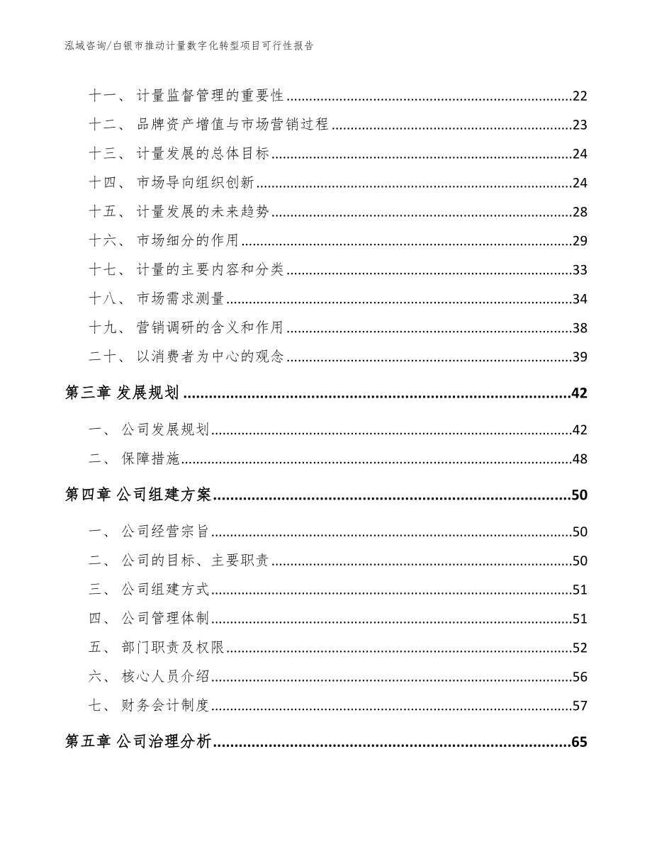 白银市推动计量数字化转型项目可行性报告（范文参考）_第3页