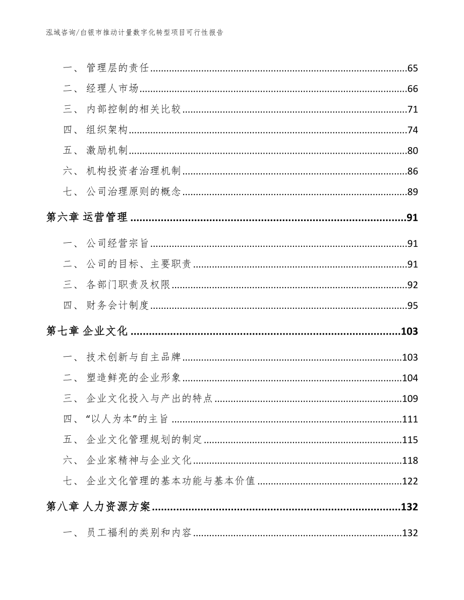 白银市推动计量数字化转型项目可行性报告（范文参考）_第4页