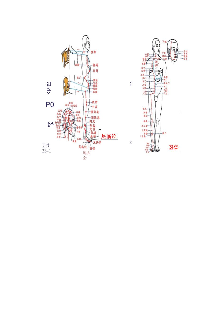 针刺止痛六穴治疗颈肩腰腿痛疼痛_第4页