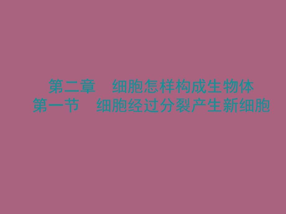 人教版七年级生物上册2.2.1细胞通过分裂产生新细胞ppt课件_第1页