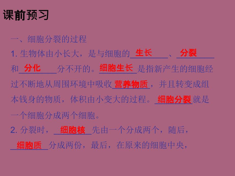 人教版七年级生物上册2.2.1细胞通过分裂产生新细胞ppt课件_第3页