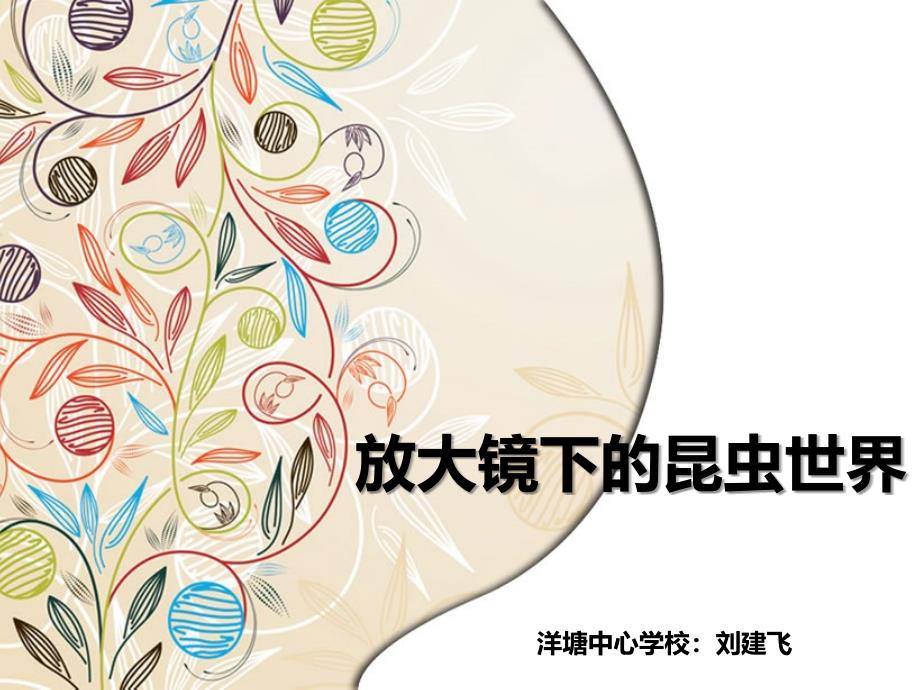 放大镜下的昆虫世界.ppt_第1页