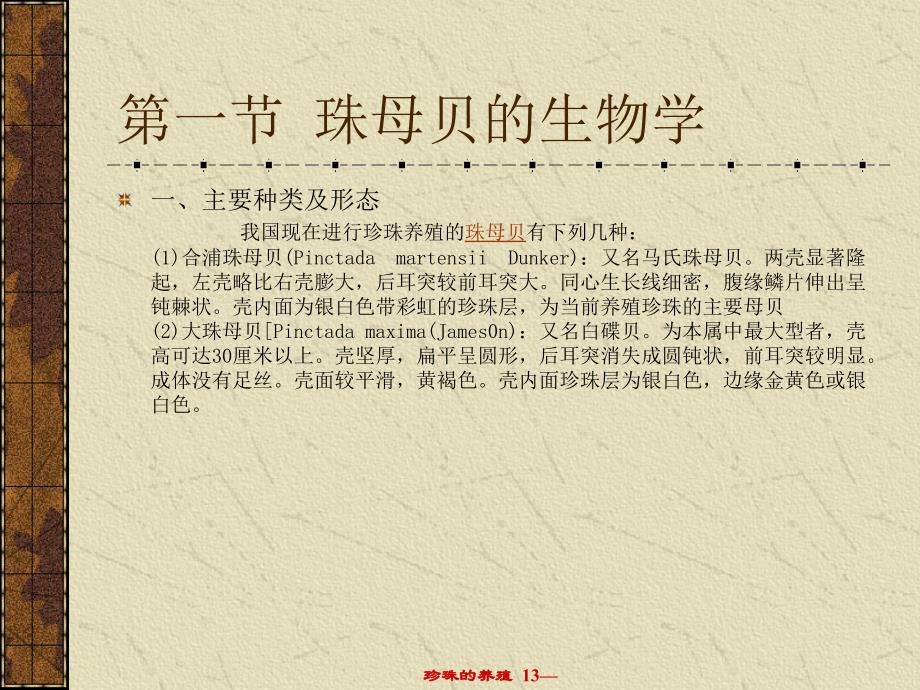 《珠母贝的生物学》PPT课件_第1页