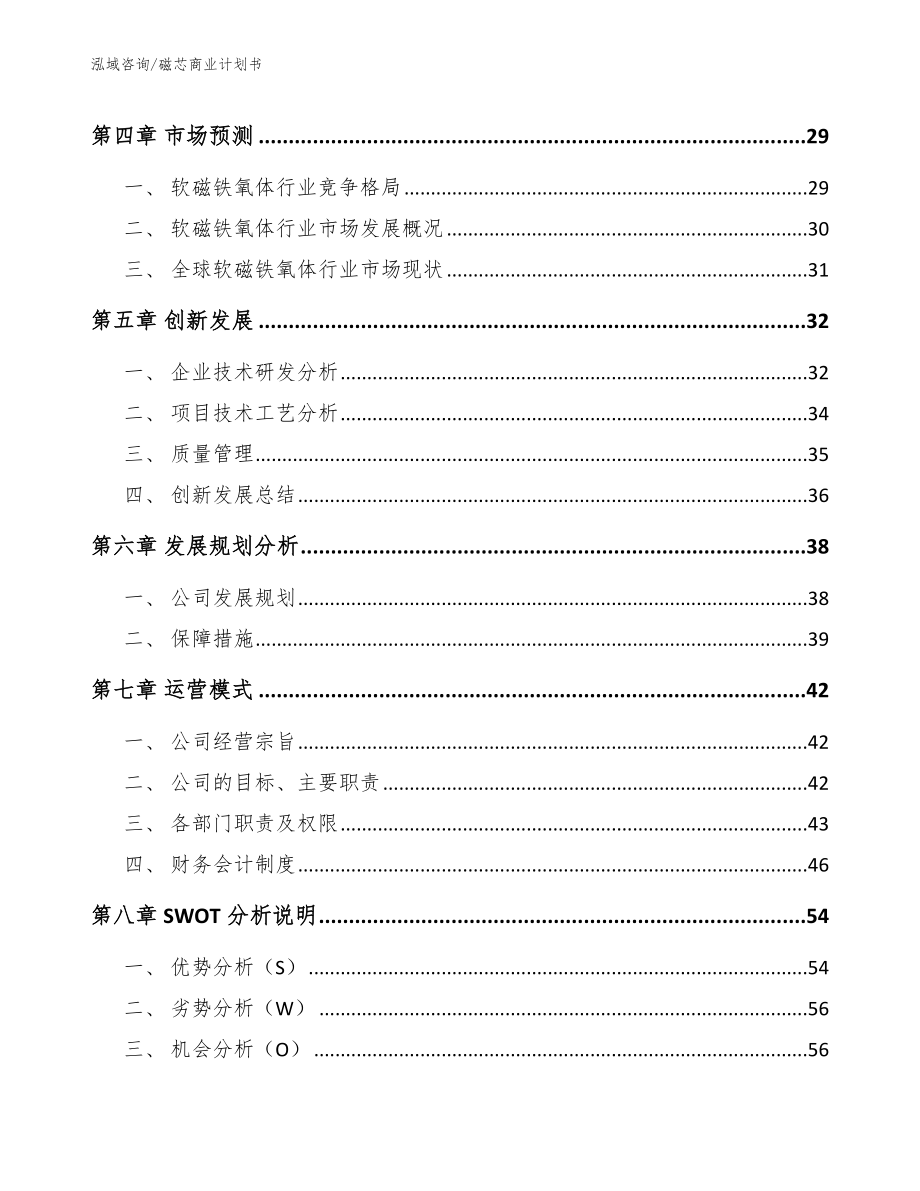 磁芯商业计划书【模板】_第3页