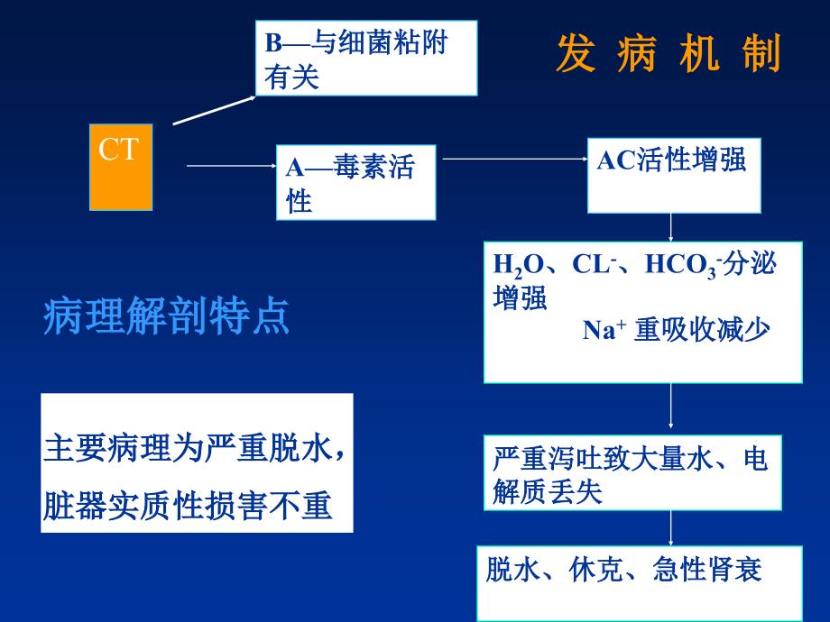 主办单位政教处_第4页