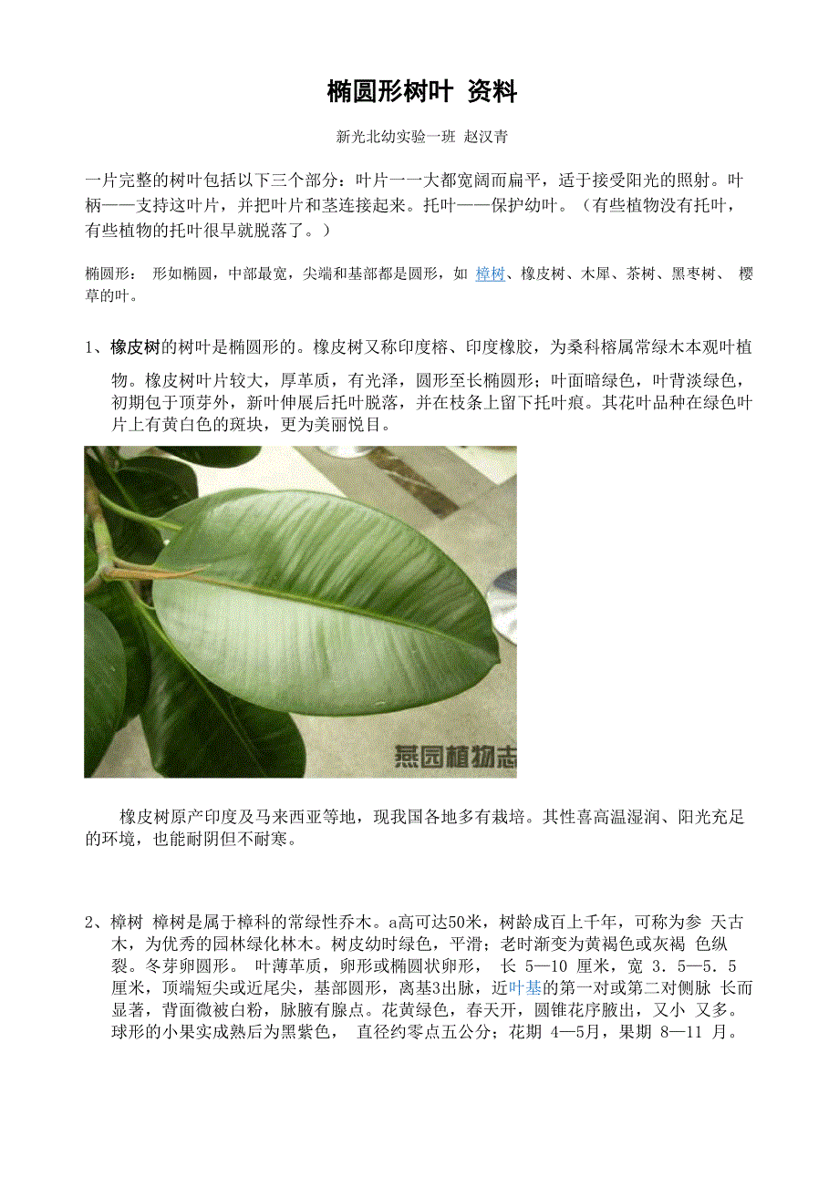 椭圆形树叶 资料_第1页
