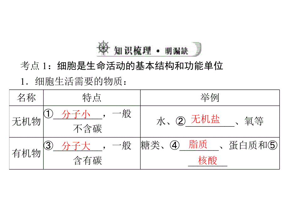 中考风向标2013中考生物《动植物体的结构层次》.ppt_第4页