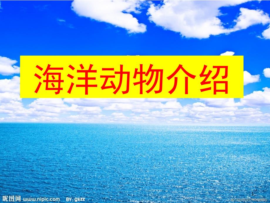 海洋动物介绍课堂PPT_第1页