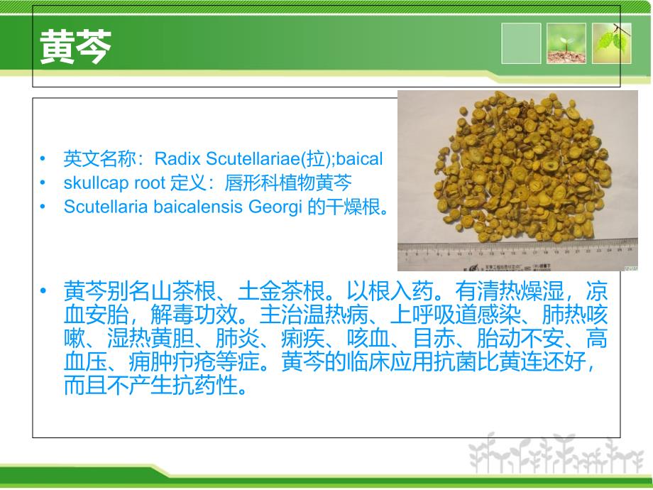 黄芩黄连黄柏大黄理化鉴别_第2页