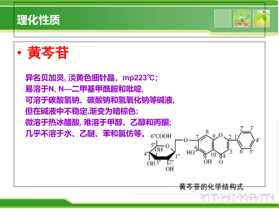 黄芩黄连黄柏大黄理化鉴别_第3页