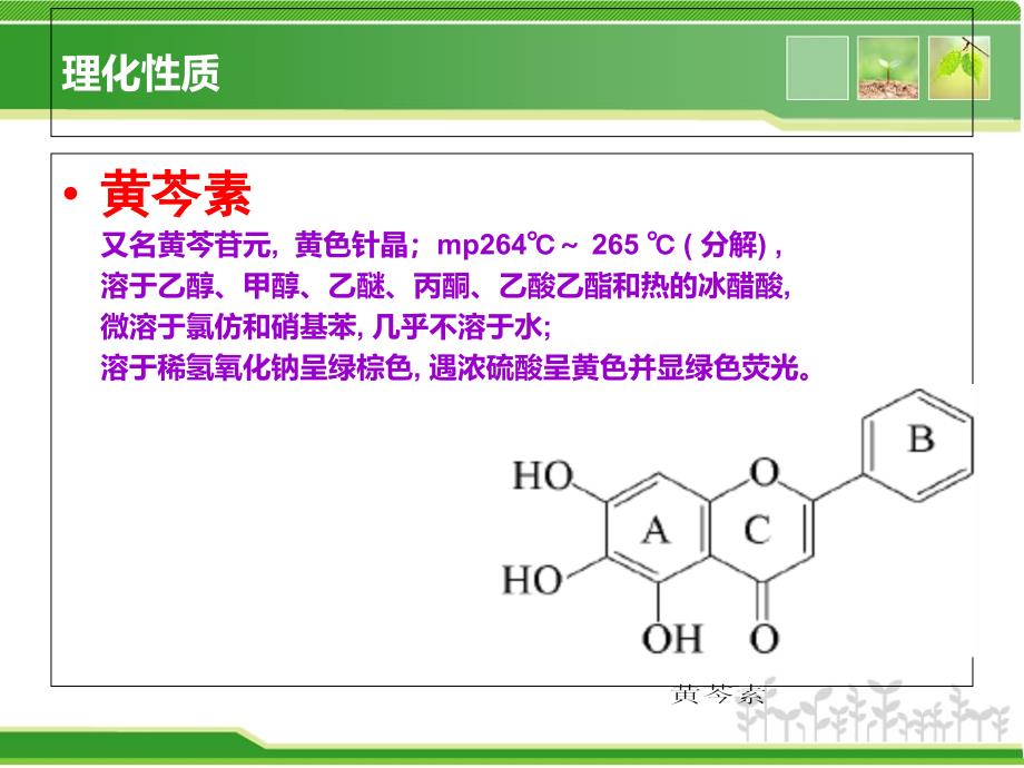 黄芩黄连黄柏大黄理化鉴别_第4页