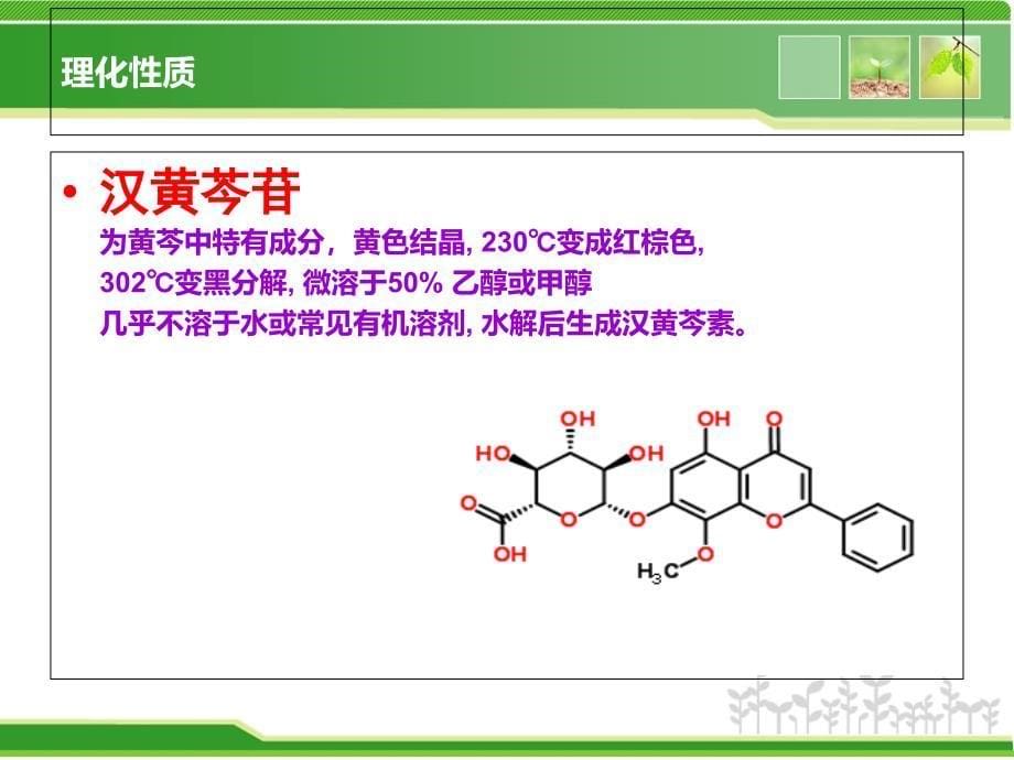 黄芩黄连黄柏大黄理化鉴别_第5页