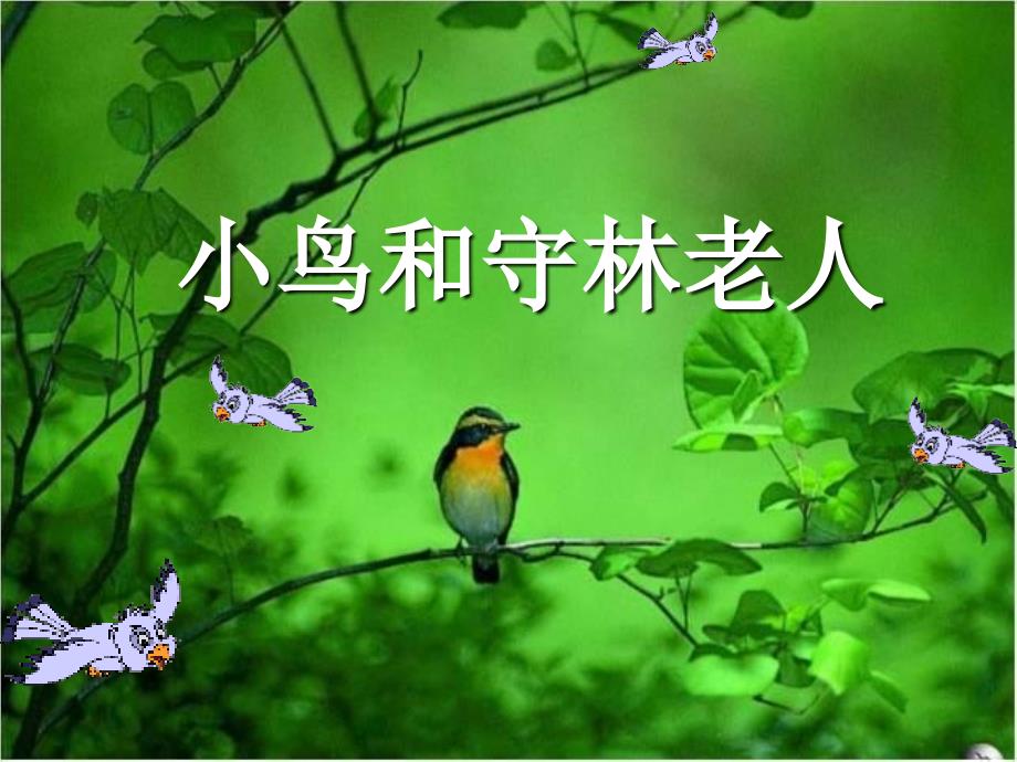 小鸟和守林老人教学课件_第1页