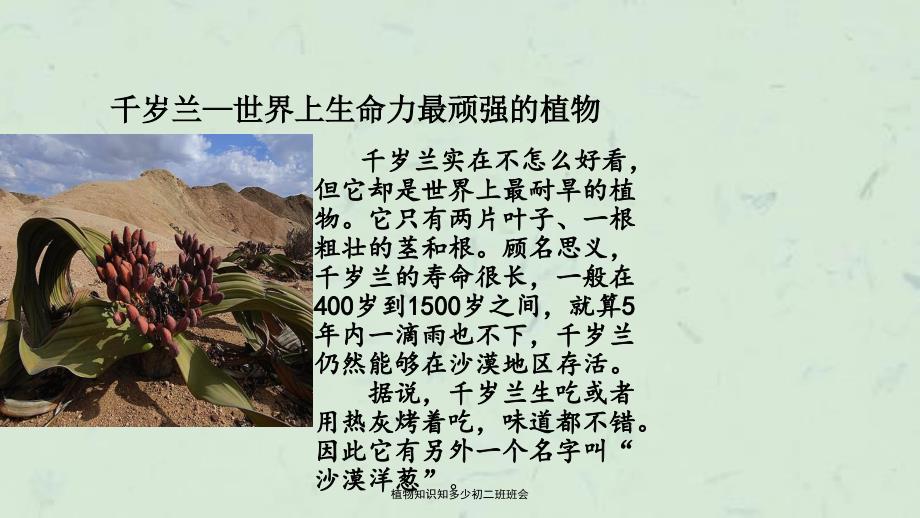 植物知识知多少初二班班会课件_第4页