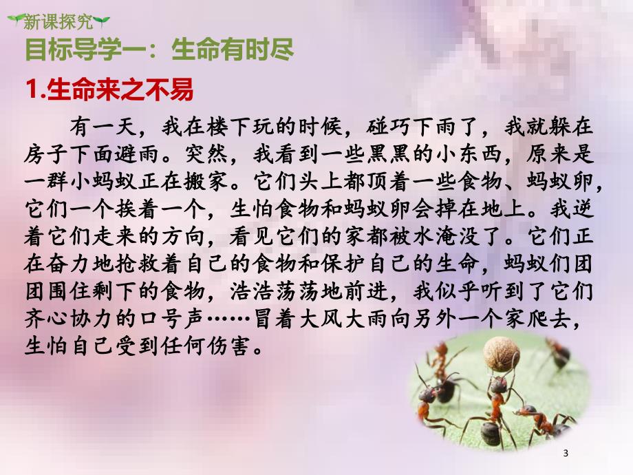 七年级道德与法治上册第四单元生命的思考第八课探问生命第1框生命可以永恒吗课件新人教版_第3页