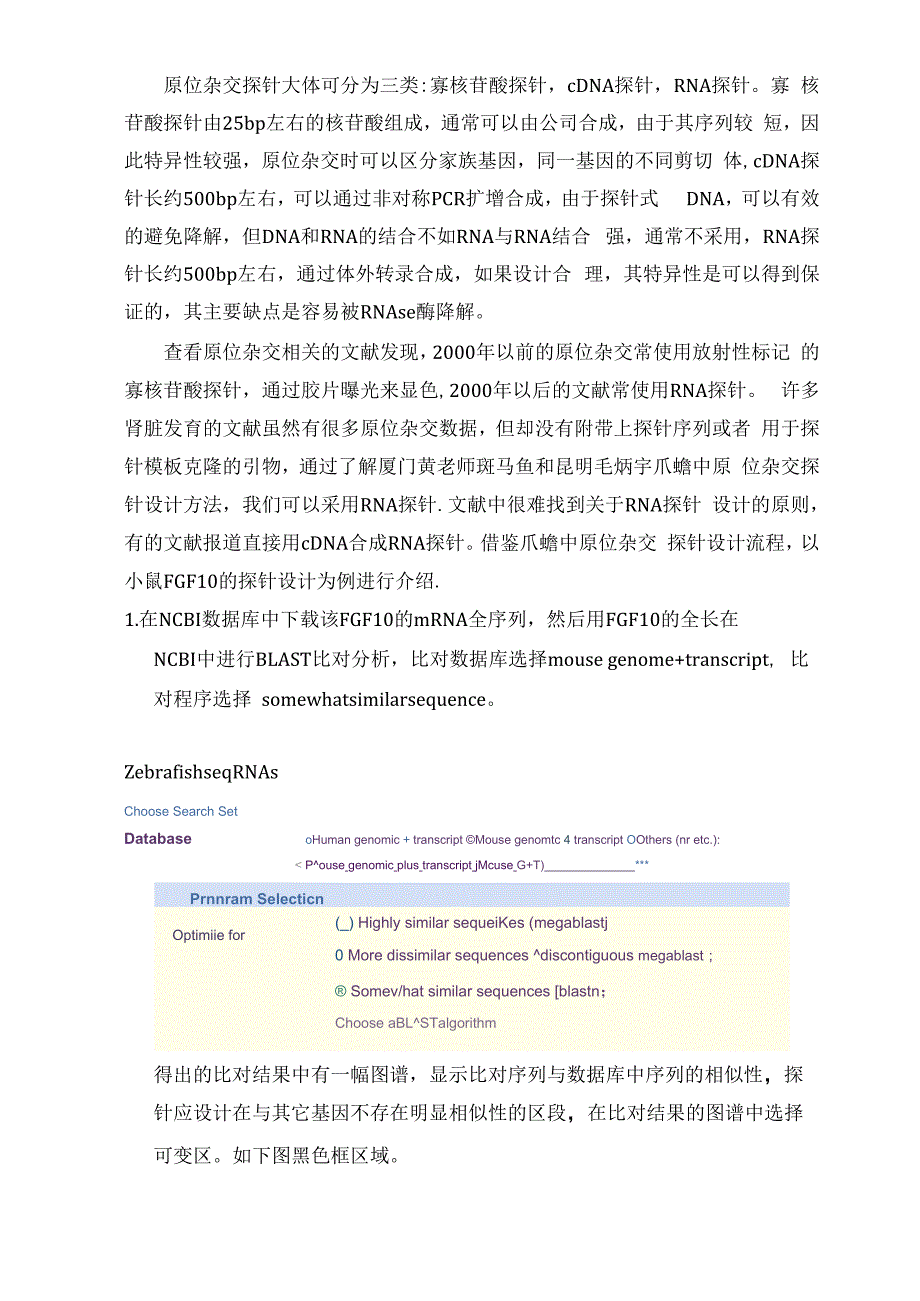 原位杂交探针设计原则_第1页