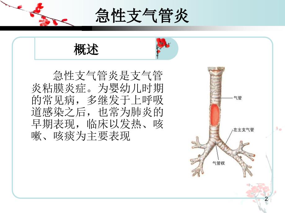 小儿支气管炎护理查房课堂PPT_第2页