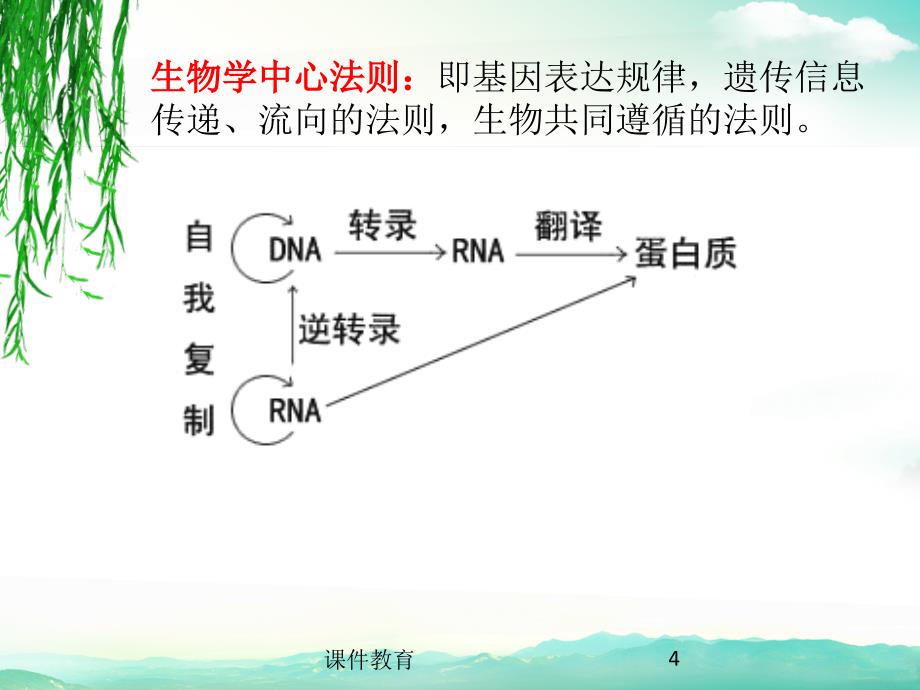 遗传信息的传递与表达上课课件_第4页