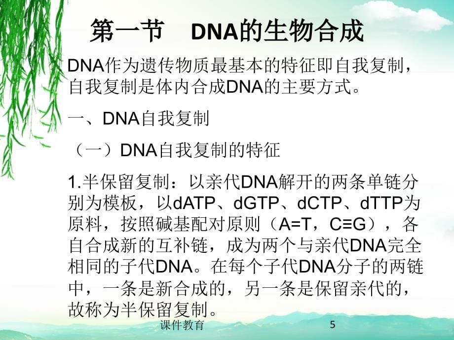 遗传信息的传递与表达上课课件_第5页