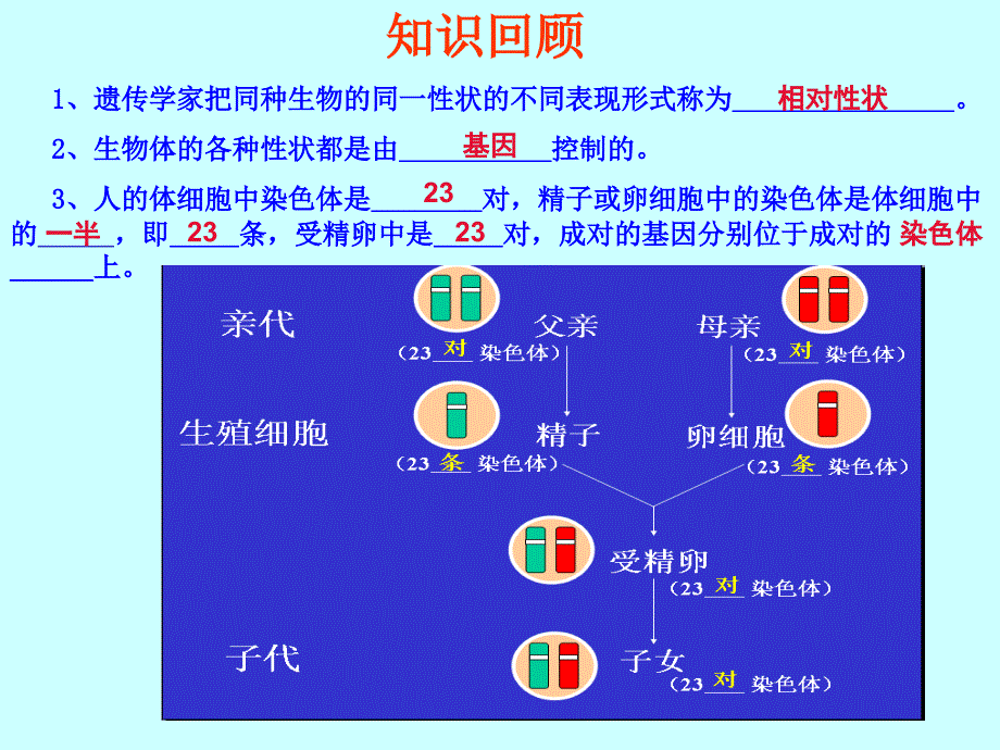 《基因的显性和隐性》PPT课件_第2页