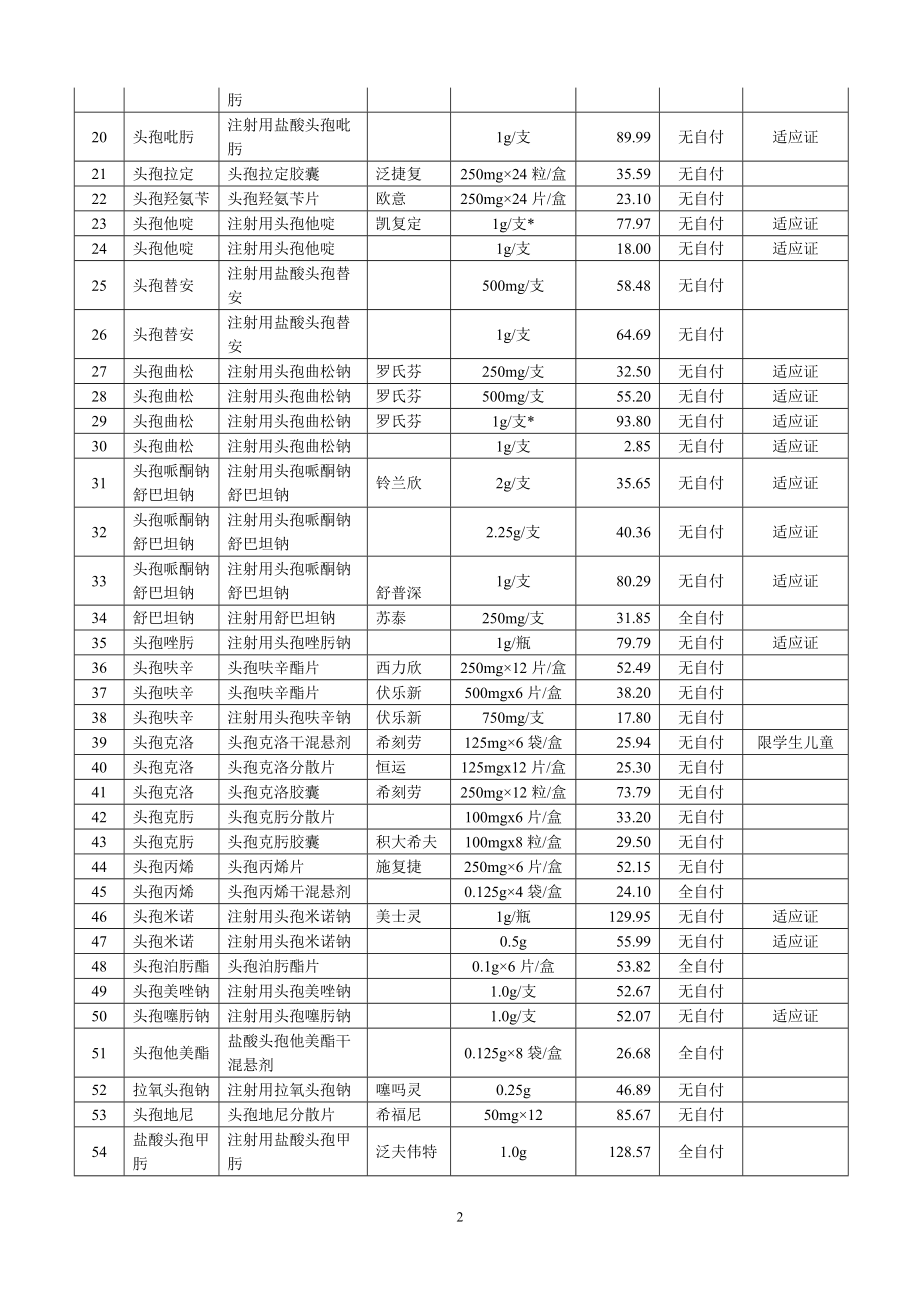 中日友好医院基本药物处方集目录_第2页