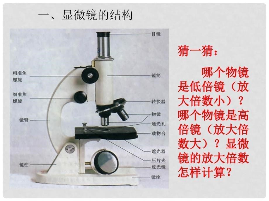 七年级生物上册 第一节练习使用显微镜课件 人教新课标版_第5页