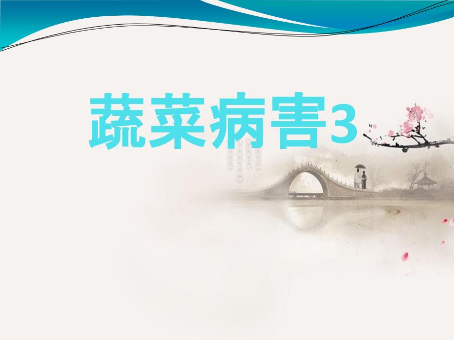 《蔬菜病害》课件_第1页