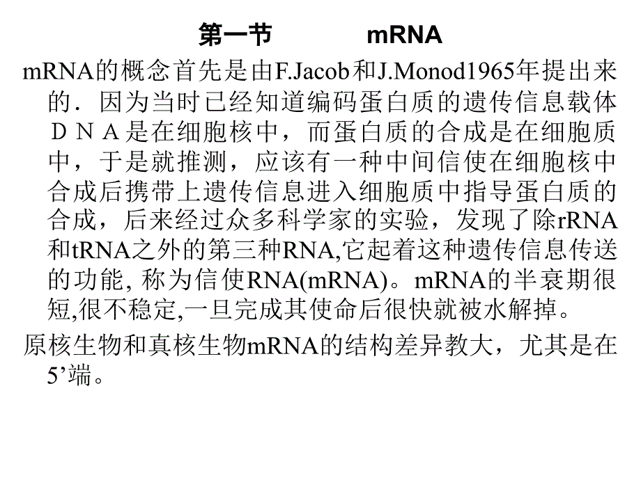 最新十五章蛋白质的合成ppt课件_第2页