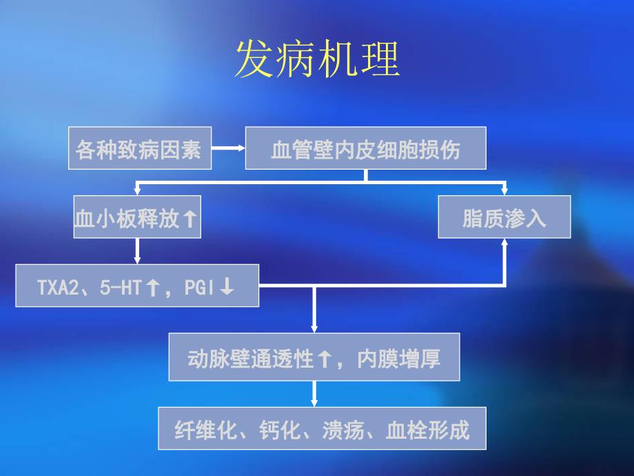 冠心病之心绞痛_第4页