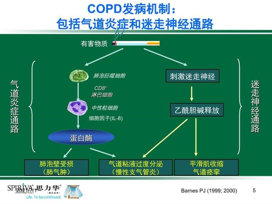 抗胆碱能药物在COPD治疗中的地位_第5页