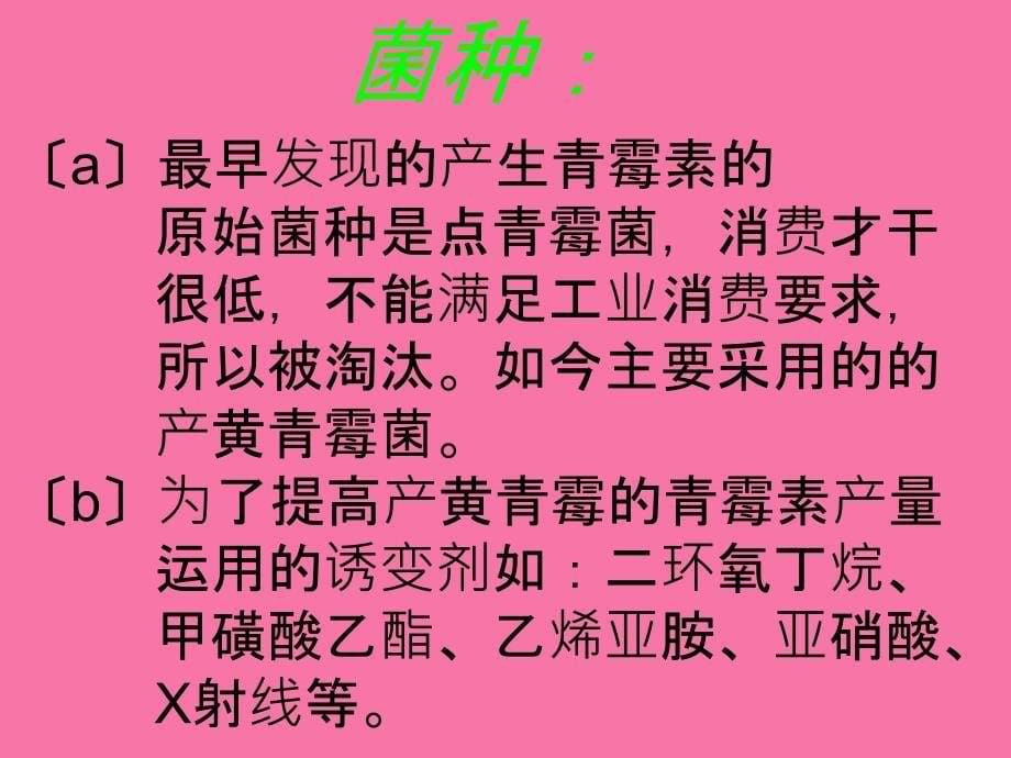 青霉素的生产工艺流程ppt课件_第5页