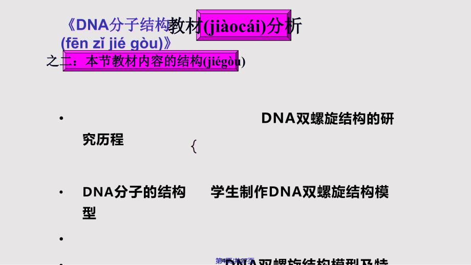 DNA分子结构说课实用教案_第4页