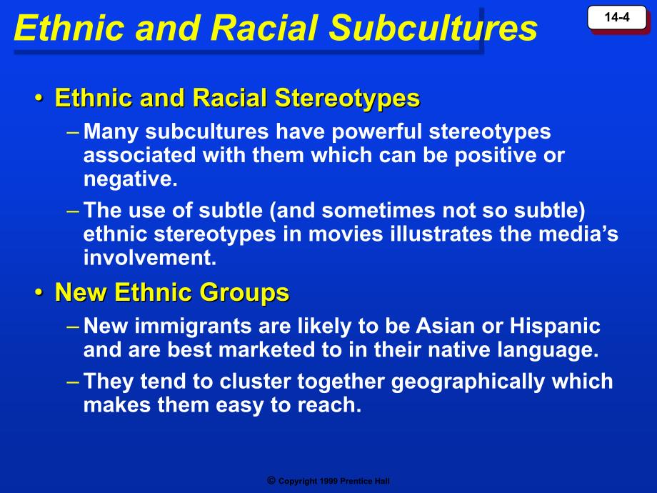 EthnicRacialandReligiousSubcultures_第4页