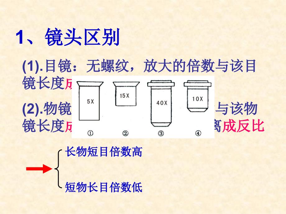 高倍显微镜的使用方法_第3页