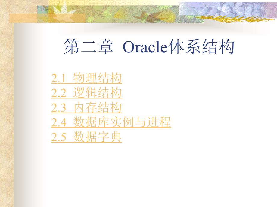 Oracle体系结构PPT课件_第1页