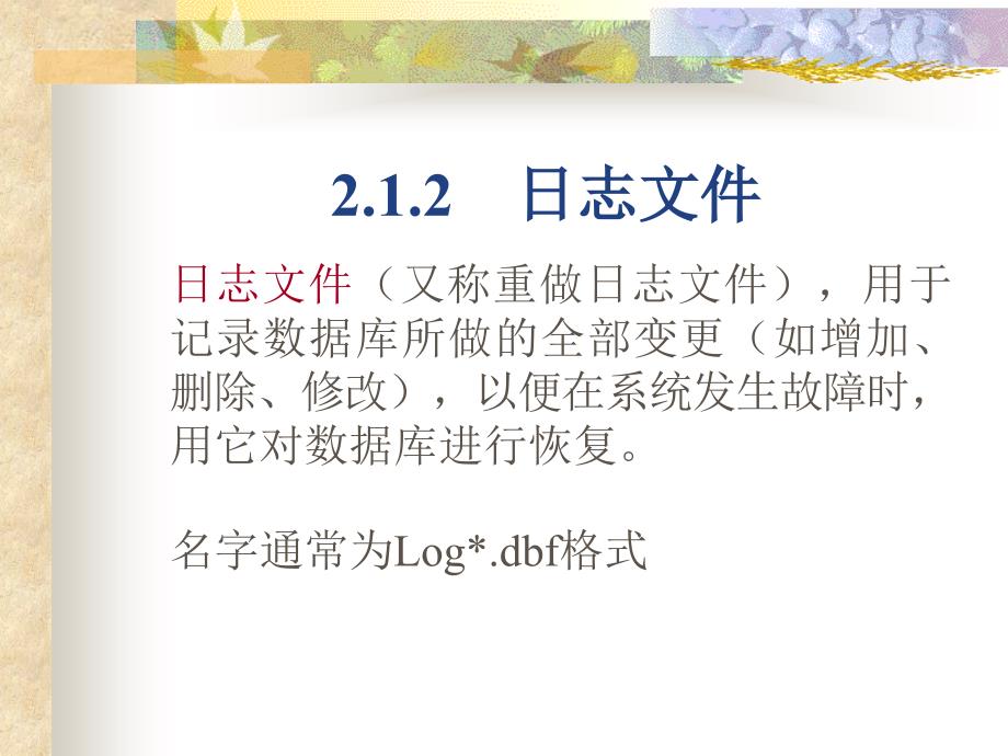 Oracle体系结构PPT课件_第4页