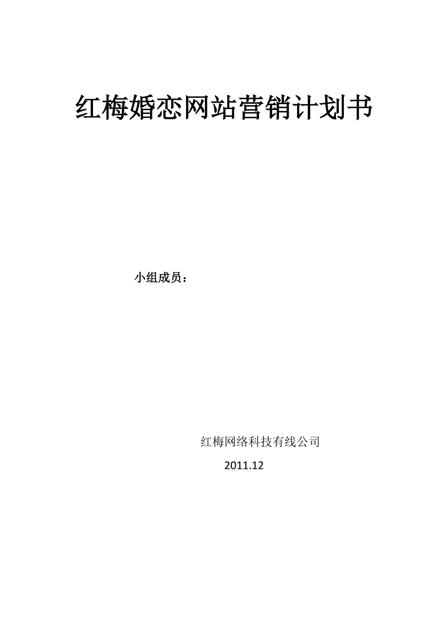 婚恋网站营销计划书（天选打工人）.docx_第1页