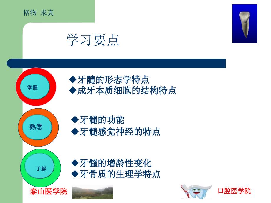 牙髓及根尖周的组织学特点_第2页