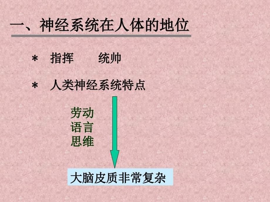 神经系统疾病病人护理ppt课件.ppt_第5页