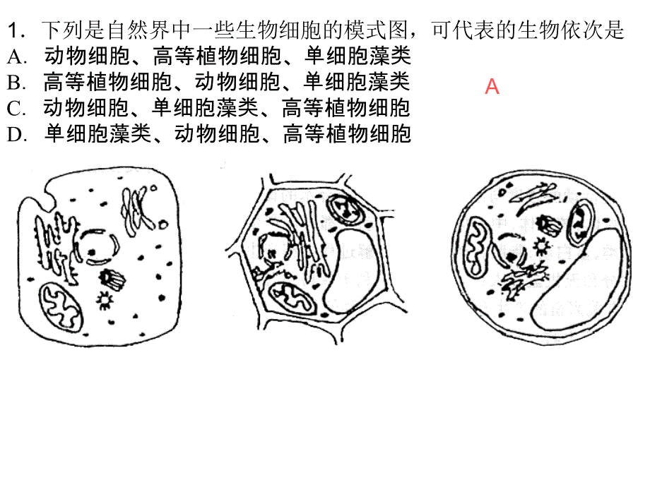 生物图表题结构图_第2页